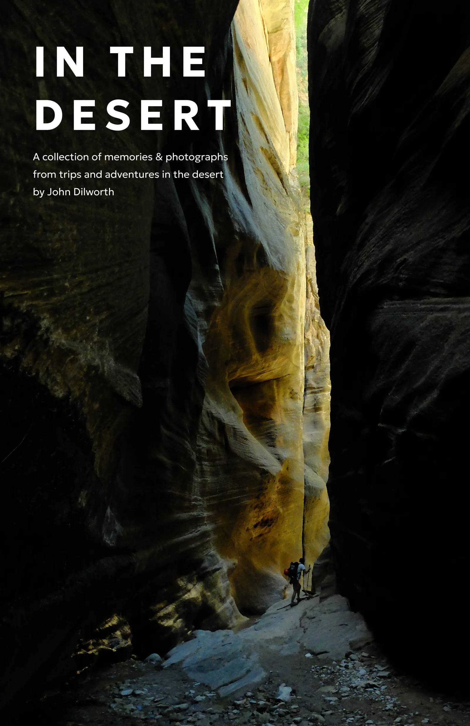 In the Desert cover